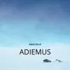 GnuS Cello - Adiemus - Single